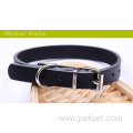 teddy poodle small wholesale pet dog collar